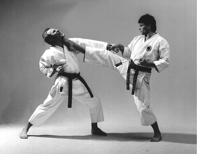 Eugen Landgraf Sensei
